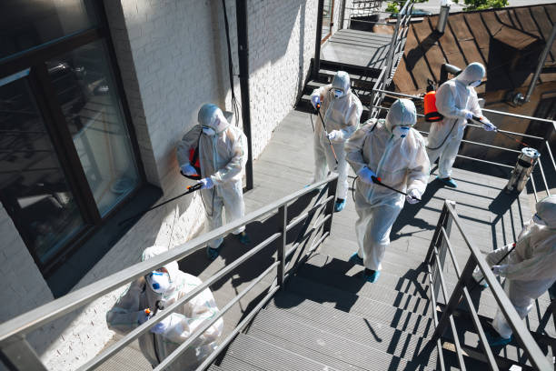 Best Post-Remediation Verification Testing  in Coal Run Village, KY