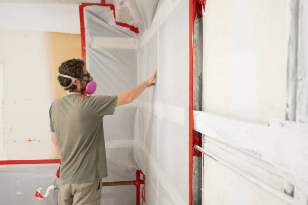Best Mold Documentation for Insurance Claims  in Coal Run Village, KY