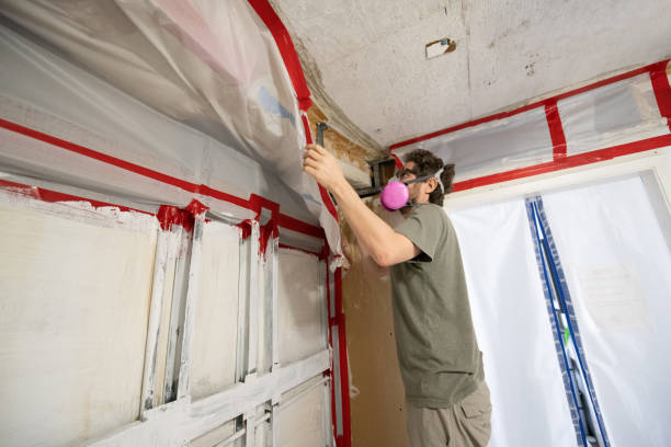 Best Dehumidification Services  in Coal Run Village, KY