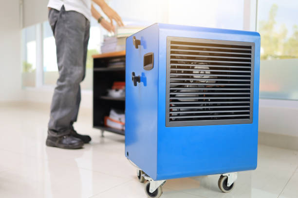 Professional Mold Removal in Coal Run Village, KY