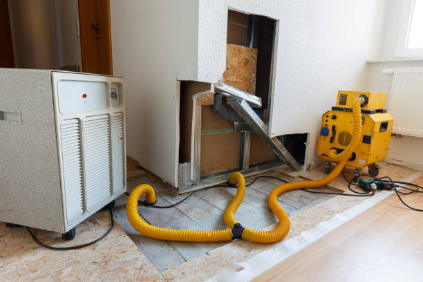 Dehumidification Services in Coal Run Village, KY